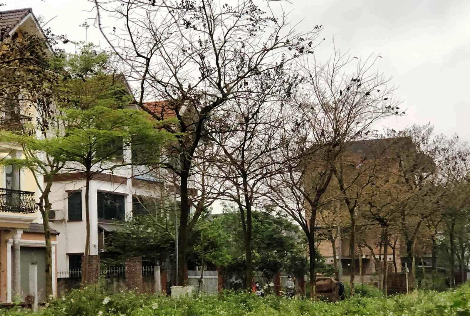 Quá hạn gần 10 năm, nhà đầu tư vẫn chưa được cấp giấy chứng nhận quyền sử dụng đất